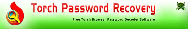 Torch Password Recovery